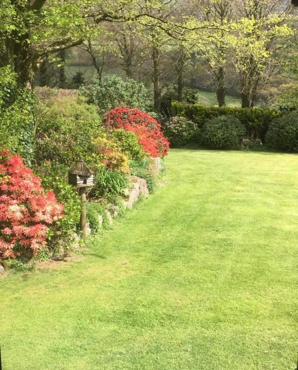 Knole Farm Bed & Breakfast Okehampton Cameră foto
